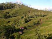Vendo finca 54 hectáreas en el país de Costa Rica